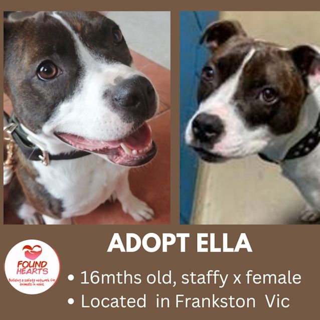 Photo of Ella