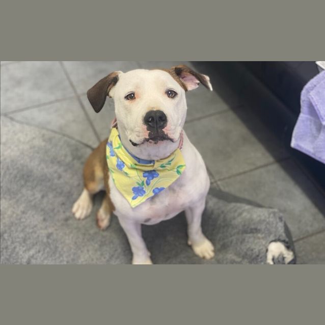 Photo of Deja