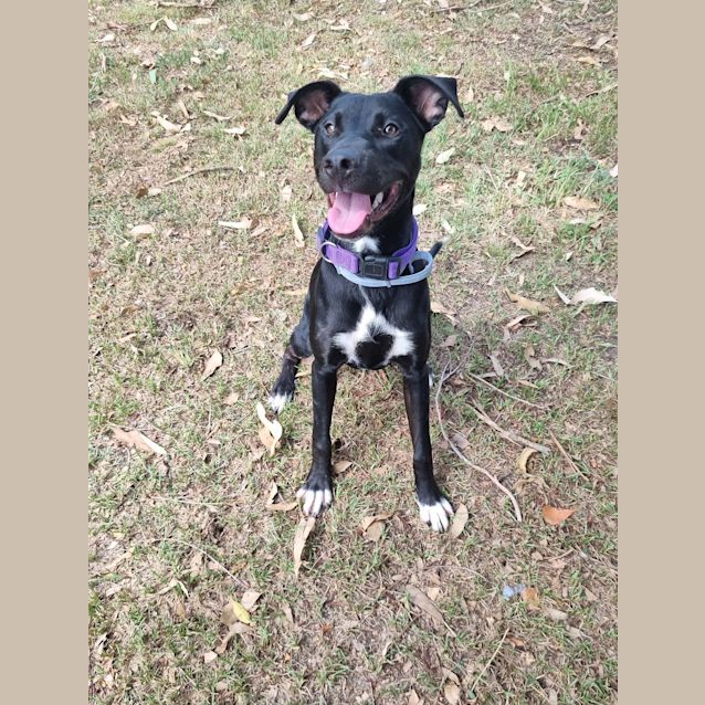 Photo of Zena