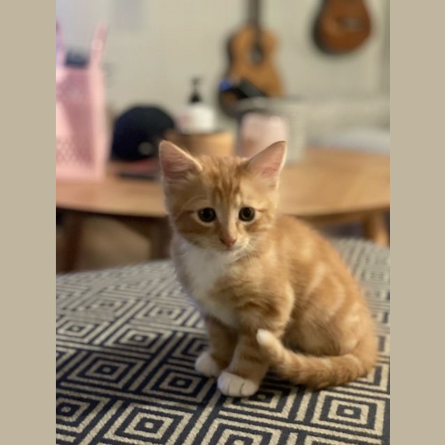 Photo of Mo