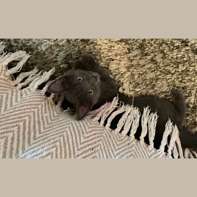 Photo of Chomper 😻😁😻