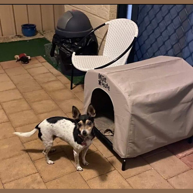 Photo of Theo And Molly 