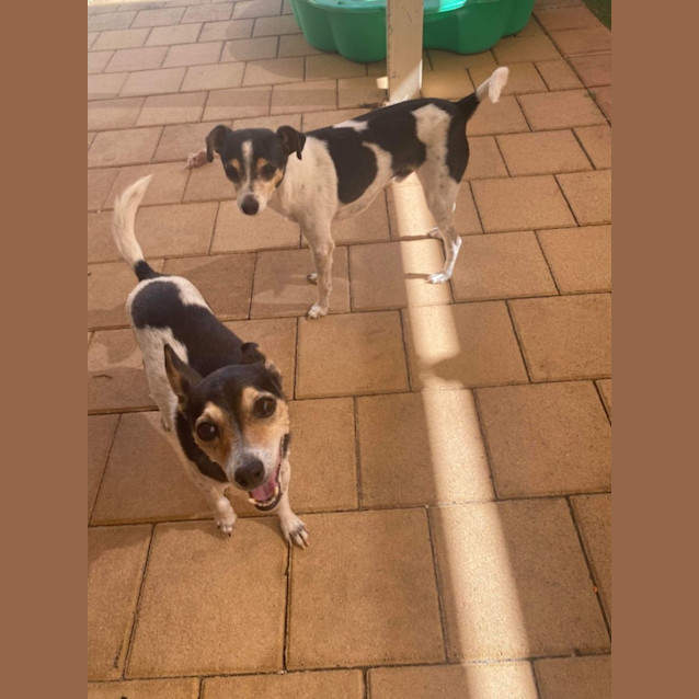 Photo of Theo And Molly 