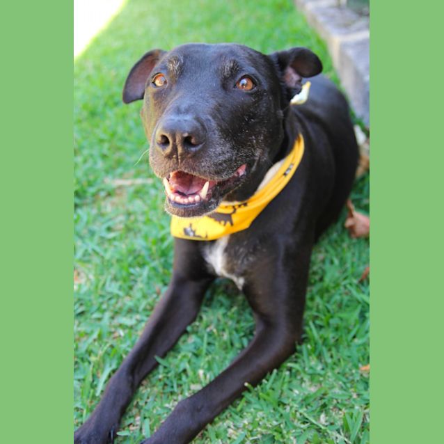 Photo of Sally Dl2744