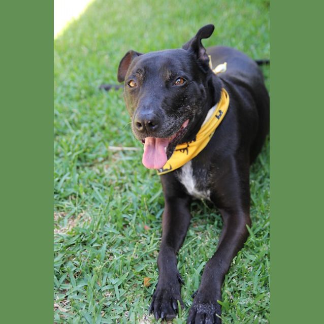 Photo of Sally Dl2744