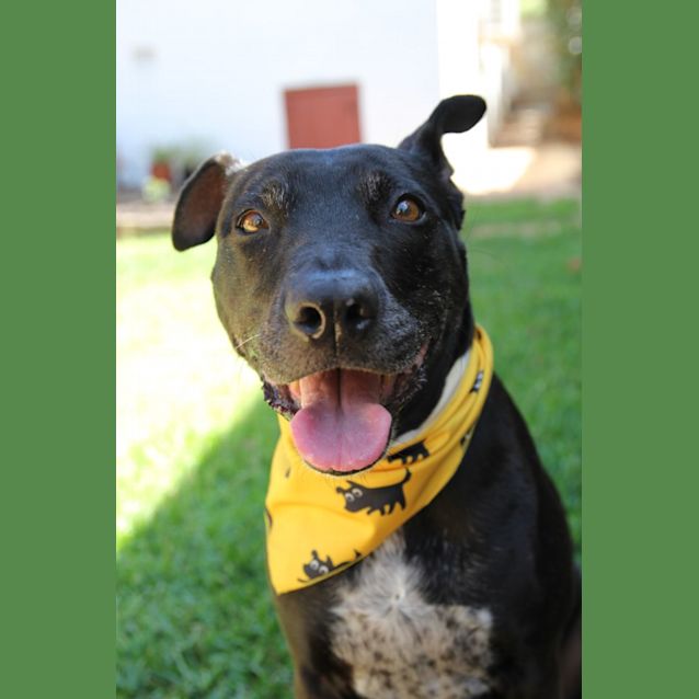 Photo of Sally Dl2744