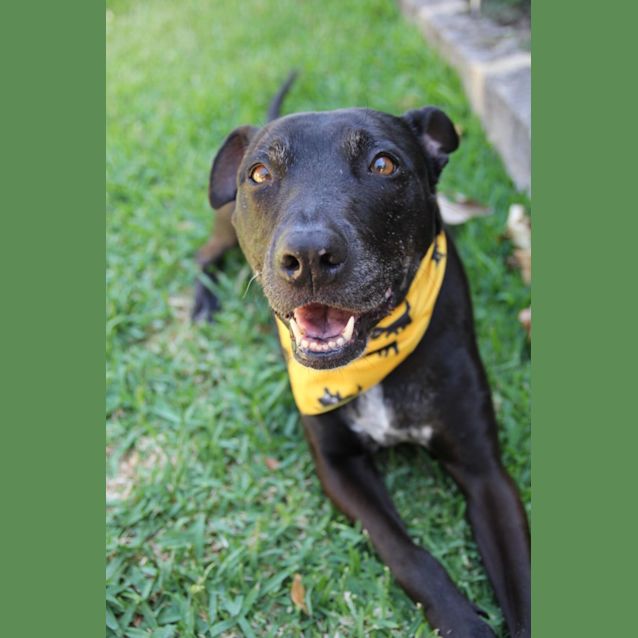 Photo of Sally Dl2744