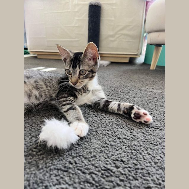 Photo of Jessie And James