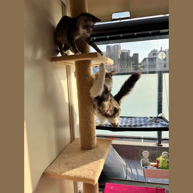 Photo of Jessie And James