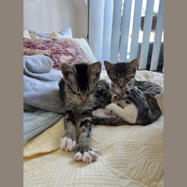 Photo of Jessie And James