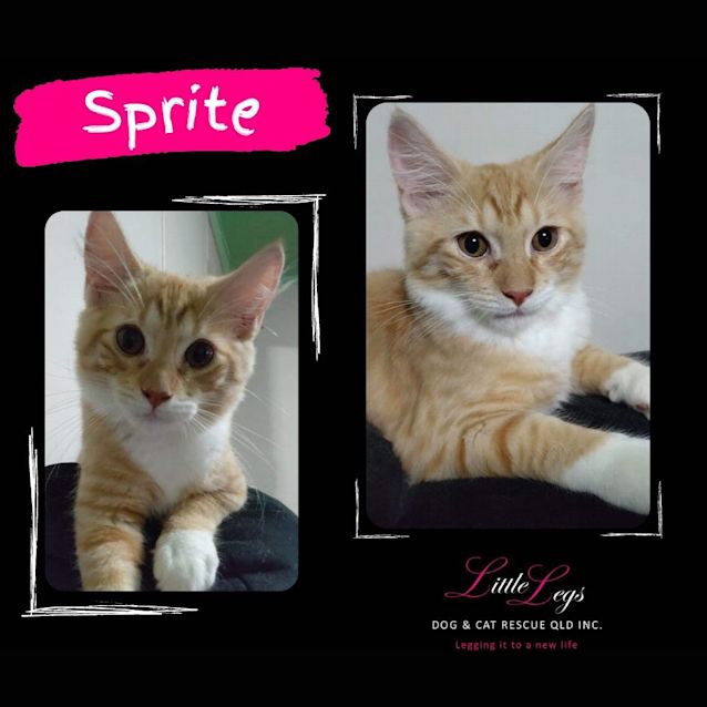 Photo of Sprite