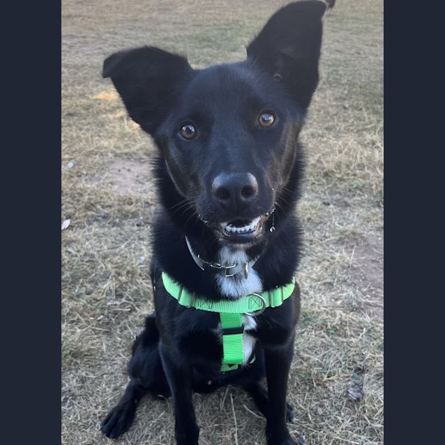 Photo of Wally
