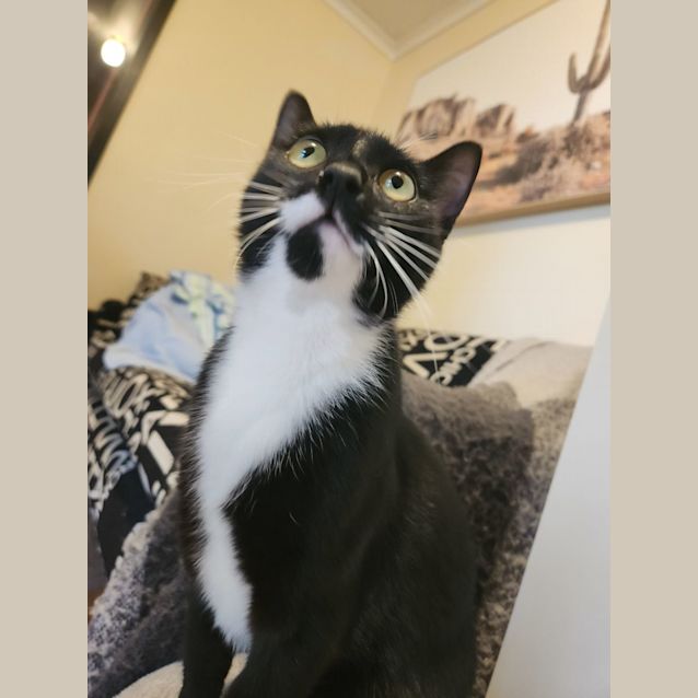 Photo of Sooty