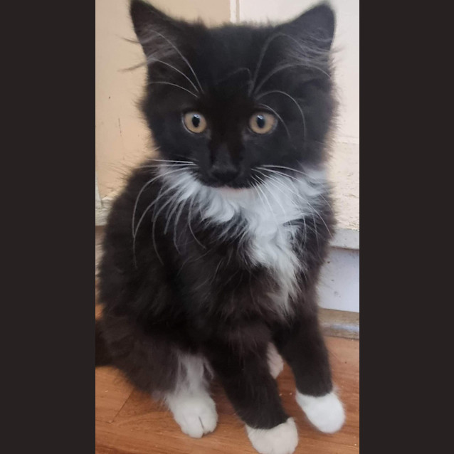 Photo of Jack 