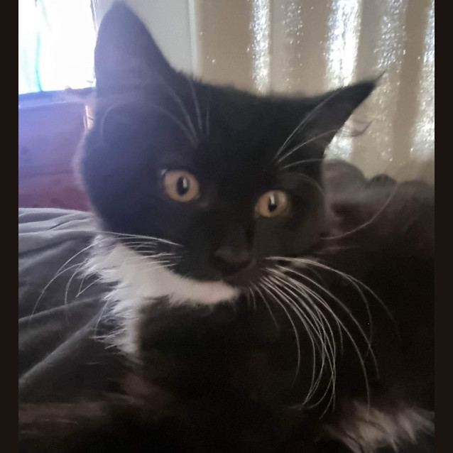 Photo of Jack 