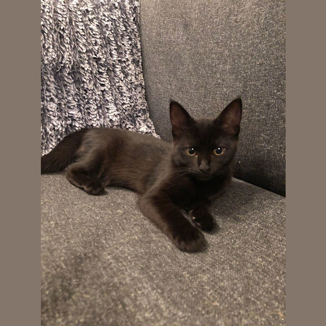 Photo of Lucky