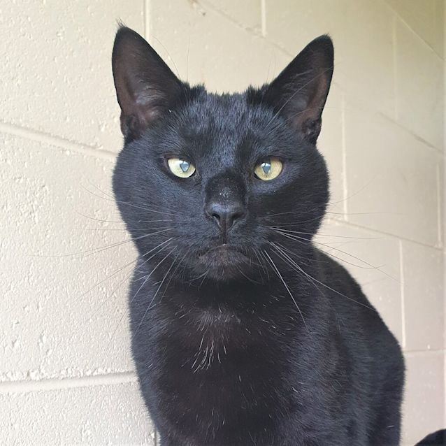 Photo of Buddy