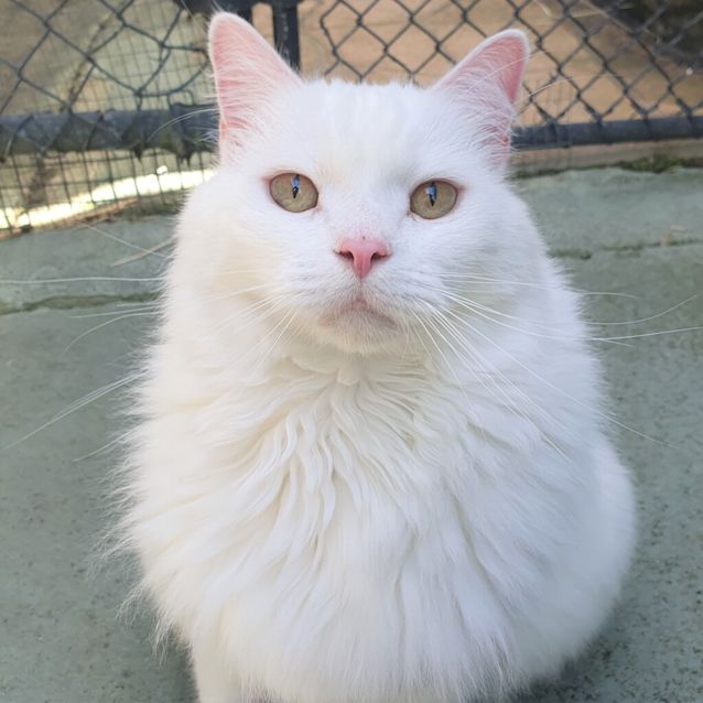 Photo of Zeus
