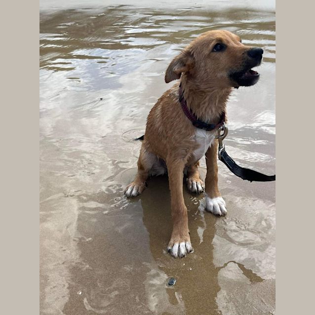Photo of Sugar