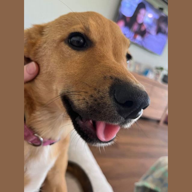 Photo of Sugar
