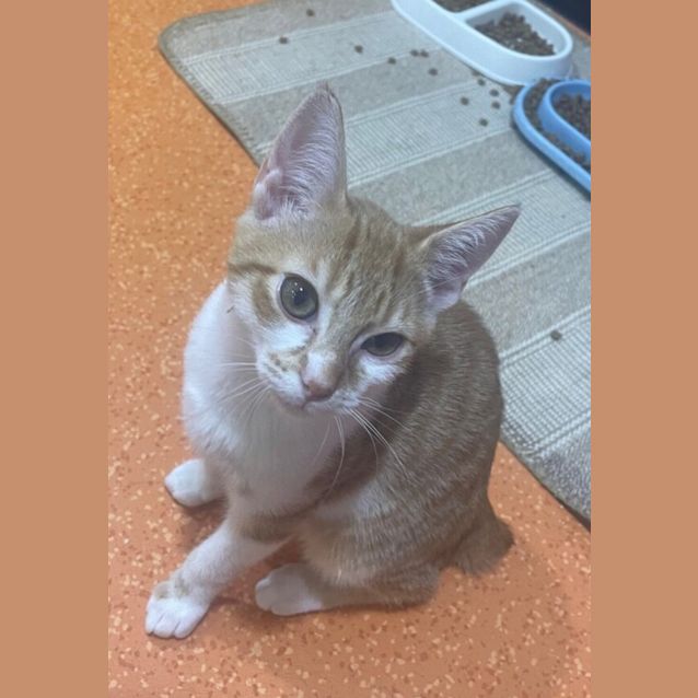 Photo of Tex 