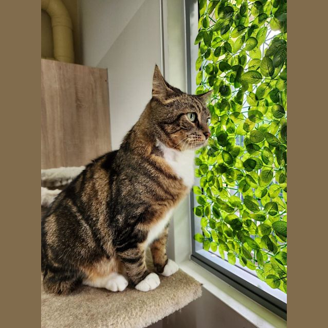 Photo of 🥐 Pierre 🥐 F02309