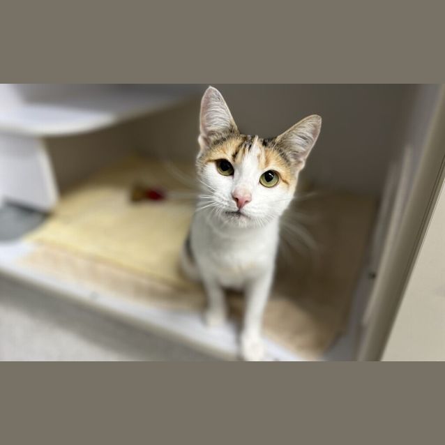 Photo of Molly