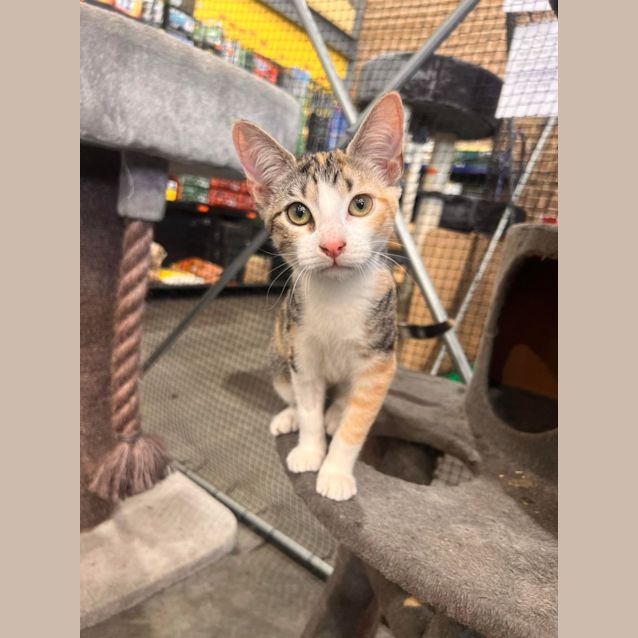 Photo of Ginny 🌈