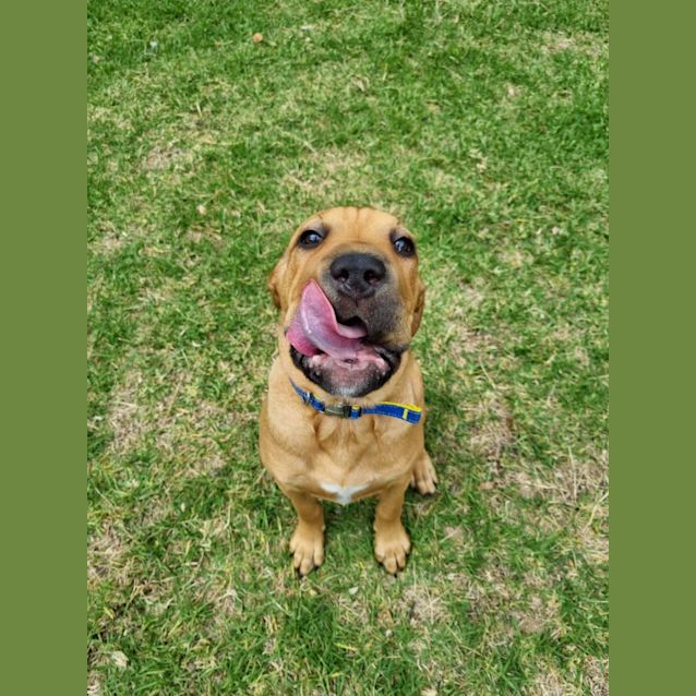 Photo of Klaus