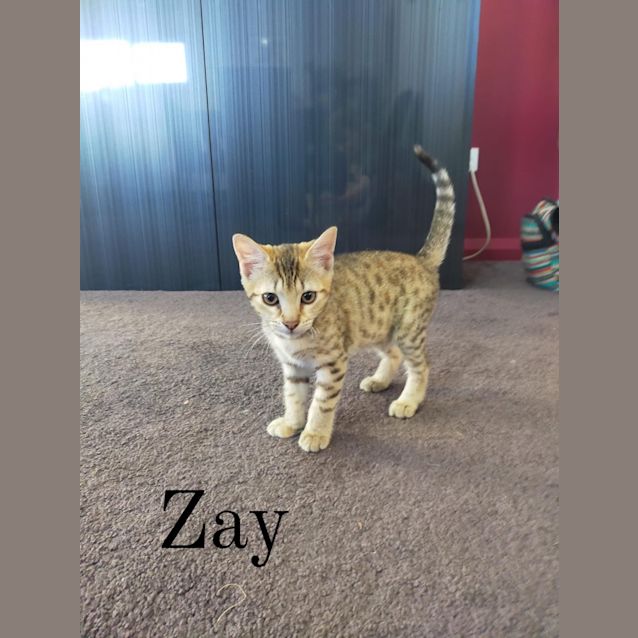 Photo of Zay