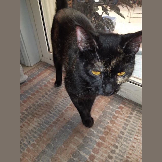 Photo of Miti & Cheeto