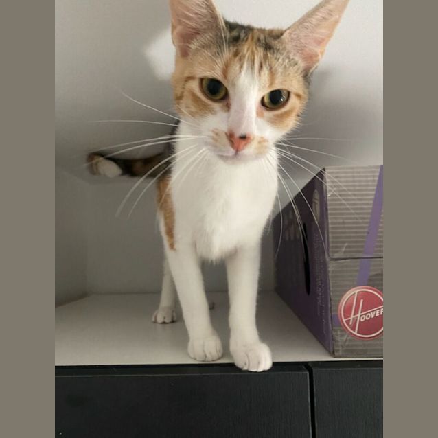 Photo of Gabrielle 💖