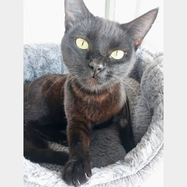 Photo of Catelyn