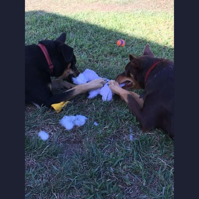 Photo of Bobby & Peggy