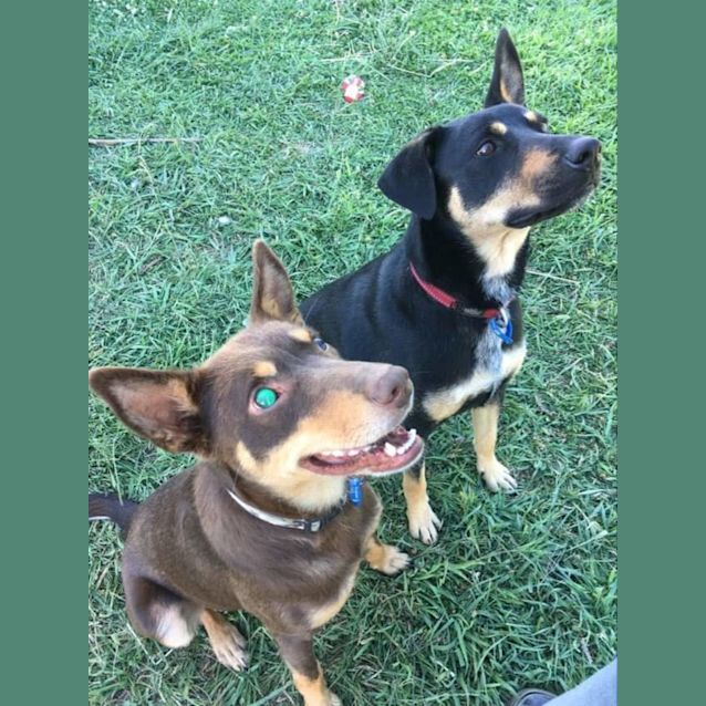 Photo of Bobby & Peggy