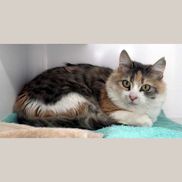 Photo of Shirley Sta010165