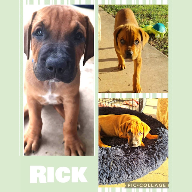 Photo of Rick