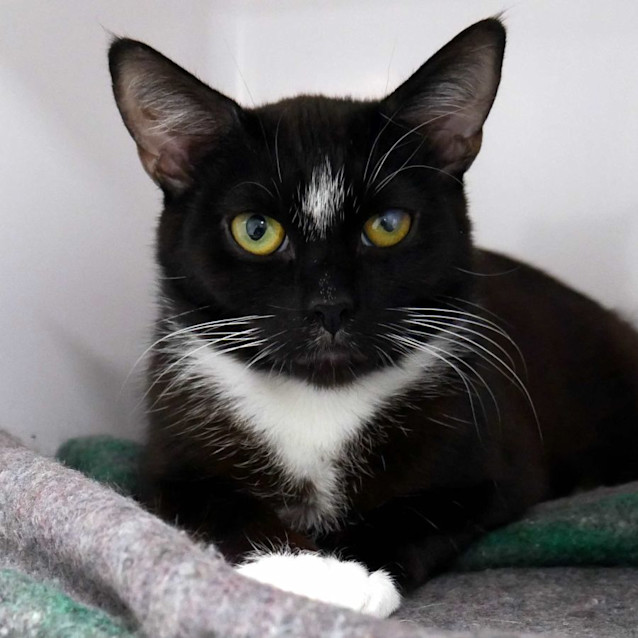 Photo of Minnie Sua010797