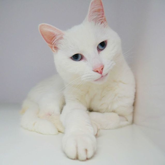 Photo of Minty Rsuk003662