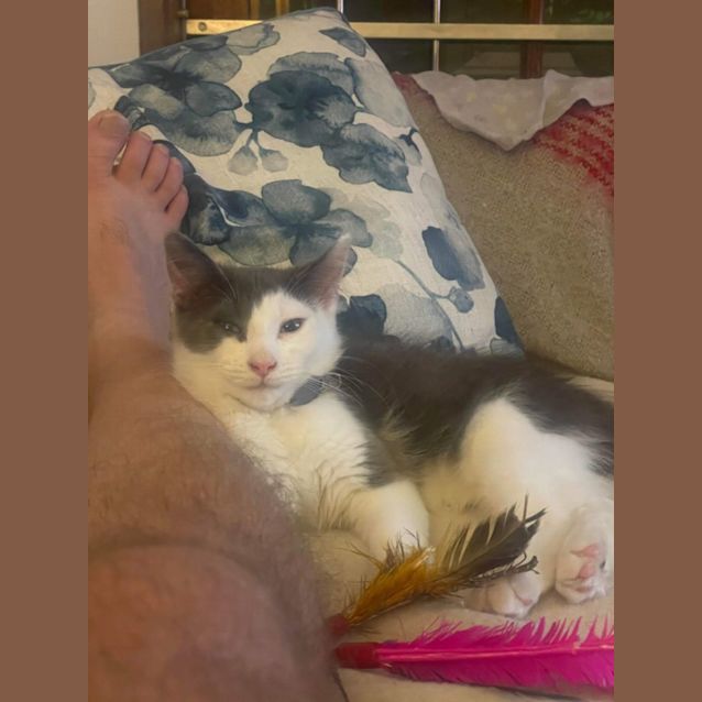 Photo of Captain Jack Sparrow