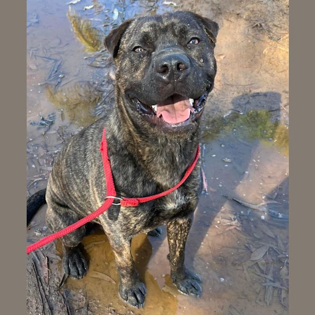 Photo of Archie Dl2834