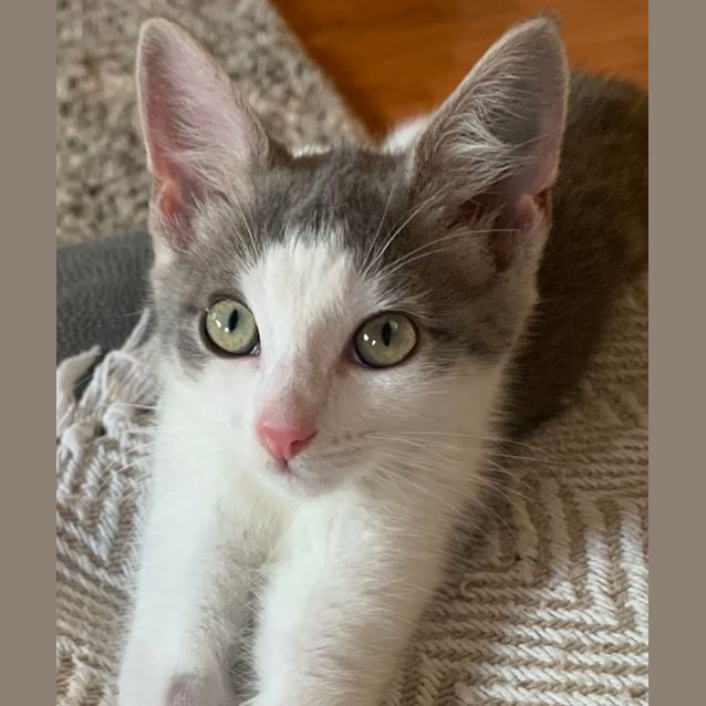 Photo of Dotti 🌺❤️