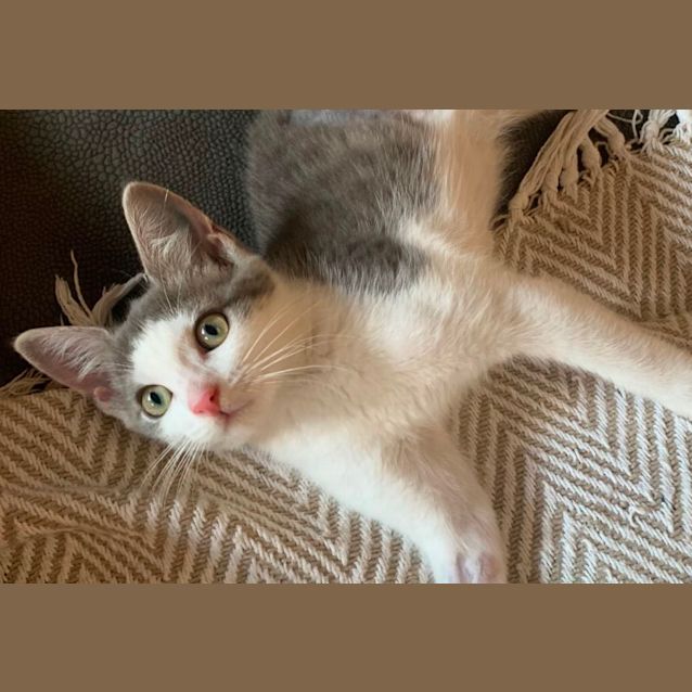 Photo of Dotti 🌺❤️