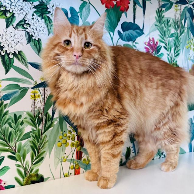 Photo of Kevin   Located In Preston