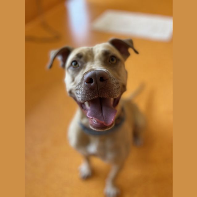 Photo of Gwen