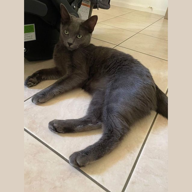 Photo of Coco