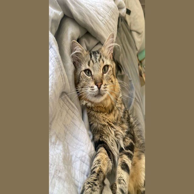 Photo of Harold