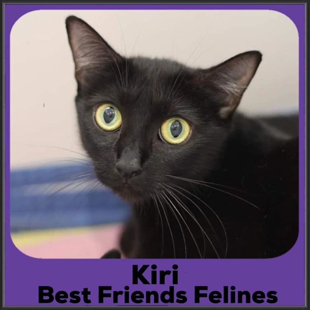 Photo of Kiri 