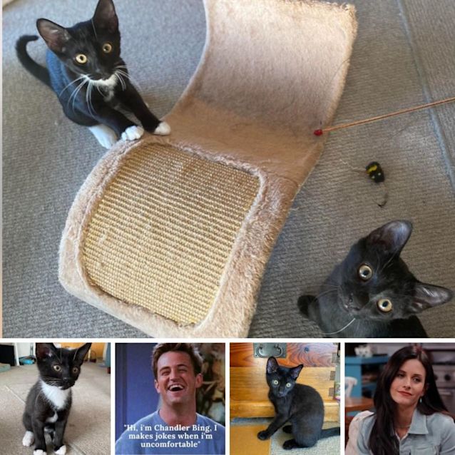 Photo of Monica And Chandler