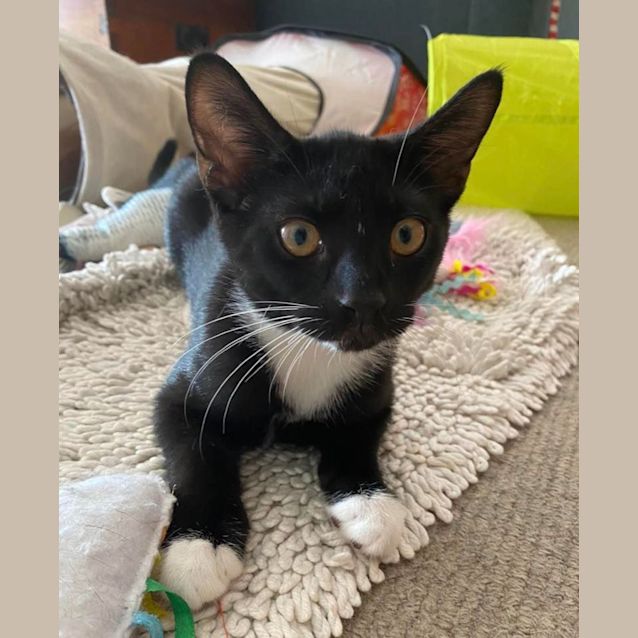 Photo of Monica And Chandler